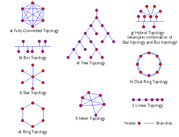 Représentation simplifiée des différentes topologies en anglais (source Wikipedia)